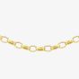 9ct Yellow Gold Oval Belcher Chain 1.14.5854