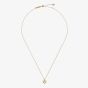 Ted Baker Amore Gold Tone Cubic Zirconia Halo Heart Necklace TBJ3832-02-02