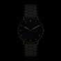 Skagen Mens Signatur Gold Tone Blue Dial Watch SKW6945