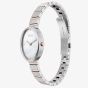 Skagen Ladies Anita oval Two-Hand Two-Tone Bracelet Watch SKW3184