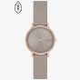 Skagen Ladies Signatur Lille Sand Watch SKW3060