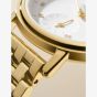 Skagen Kuppel Lille Mens Gold Watch SKW3102