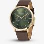 Ted Baker Mens Haarvin Green Dial Leather Strap Watch BKPHAS5049I
