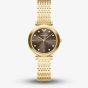 Emporio Armani Ladies Archelia Brown Dial Gold Tone Bracelet Watch AR11810