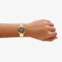 Emporio Armani Ladies Archelia Brown Dial Gold Tone Bracelet Watch AR11810