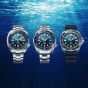 Seiko Mens Prospex Great Blue Turtle Scuba Padi Special Edition Watch SRPK01K1