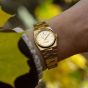 Jacques du Manoir Ladies Horizon Gold Dial Bracelet Watch JWL05604