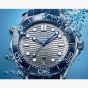 OMEGA Seamaster Diver 300M Blue Watch 210.32.42.20.06.001