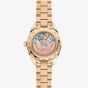OMEGA Ladies Seamaster Aqua Terra  150m 18ct Gold Green Dial Watch 220.55.30.20.60.001