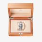 OMEGA Mens Seamaster Railmaster Grey Dial Watch 235.10.38.20.06.001