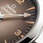 OMEGA Mens Seamaster Railmaster Brown Dial Watch 235.10.38.20.13.001