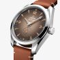 OMEGA Mens Seamaster Railmaster Brown Leather Strap Watch 235.12.38.20.13.001