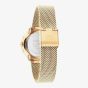 Tommy Hilfiger Demi Gold Plated Crystal Mesh Strap Watch 1782699