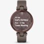 Garmin Ladies Lily Dark Bronze Grey Smartwatch 010-02384-B0 
