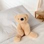 Softies Hudson Plush Brown Teddy Bear Soft Toy SOF112