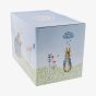 Peter Rabbit Letter Box Money Box A7170