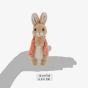 Peter Rabbit Flopsy Small Soft Toy A30801