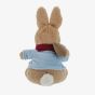 Peter Rabbit Christmas Musical Small Soft Toy A32271