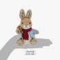 Peter Rabbit Christmas Musical Small Soft Toy A32271