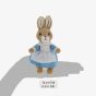 Peter Rabbit Mrs Rabbit Small Soft Toy A30803