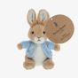 Peter Rabbit Small Soft Toy A30793