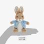 Peter Rabbit Small Soft Toy A30793