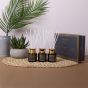 Desire Aroma Black Set Of 3 Diffusers LP76767A