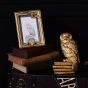 Harry Potter Alumni Gold Hedwig 4x6 Inch Photo Frame WB221