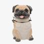 Best Of Breed Pug Biscuit Barrel Gift BB686