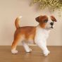 Jack Russell Puppy Figurine BB722