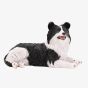 Best Of Breed Border Collie Figurine BB726