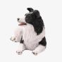 Best Of Breed Border Collie Figurine BB726