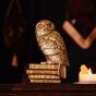 Harry Potter Hedwig Figurine WB222