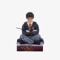Jim Shore Designs The Chosen One Harry Potter Figurine 6016699