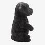Best Of Breed Black Labrador Resin Figurine BB724