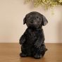 Best Of Breed Black Labrador Resin Figurine BB724