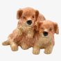 Treasured Trinkets Pair Of Puppies Trinket Box 15722
