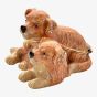 Treasured Trinkets Pair Of Puppies Trinket Box 15722