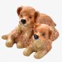 Treasured Trinkets Pair Of Puppies Trinket Box 15722