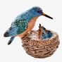 Treasured Trinkets Kingfisher Nest Trinket Box 15721