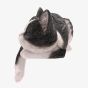 Best Of Breed Sleeping Cat Resin Figurine BB721