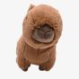 Softies Carrie The Capybara Soft Toy SOF191