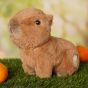 Softies Carrie The Capybara Soft Toy SOF191