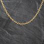 Second Hand 9ct Yellow Gold 22 Inch Prince Of Wales Chain 41041866