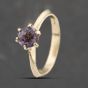 Second Hand 9ct Yellow Gold Amethyst Six Claw Dress Ring 41103505
