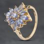 Second Hand 9ct Yellow Gold Tanzanite Cluster Ring 41104038