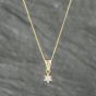 Second Hand 9ct Yellow Gold Diamond Single Stone Pendant & 18 Inch Curb Chain 41142490