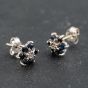 Second Hand 9ct White Gold Sapphire & Diamond Cluster 7.9mm Stud Earrings 41173631