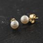 Second Hand Yellow Gold 6mm Cultured Pearl Stud Earrings 41174516