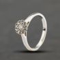 Second Hand 18ct White Gold 0.25ct Brilliant Cut Diamond Cluster Ring 41382585